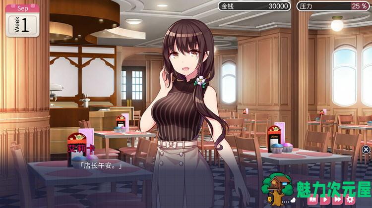 【安卓/PC/中文/ADV】魅魔新妻：甜蜜新婚生活 Ver1.09 官方中文版 PC+安卓 ADV游戏 400M