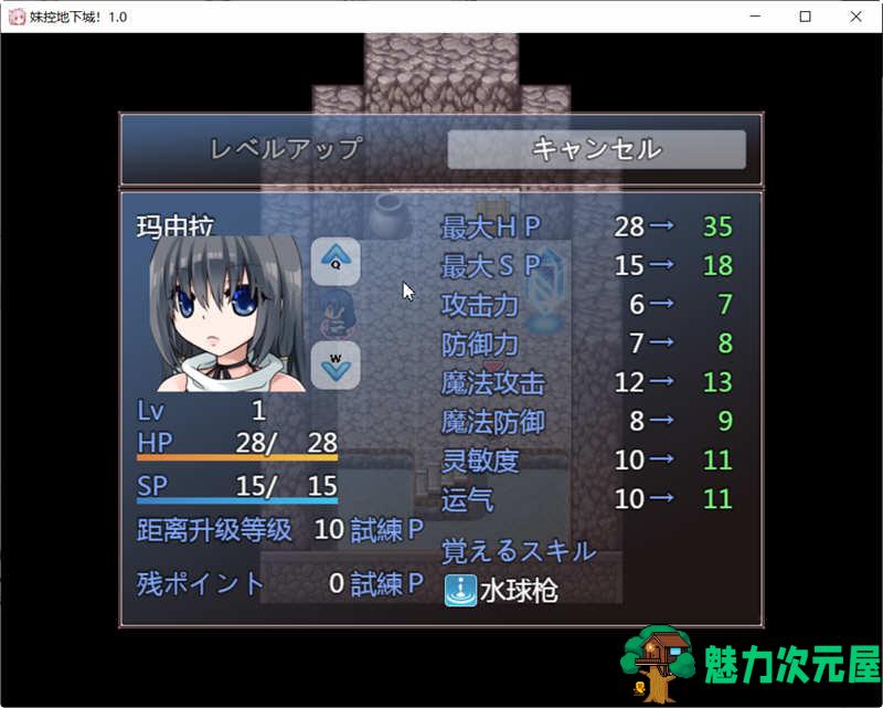 【安卓/PC/汉化版/1G/RPG】妹控地下城 Ver1.01 精翻汉化版 PC+安卓 探索类RPG游戏 1G