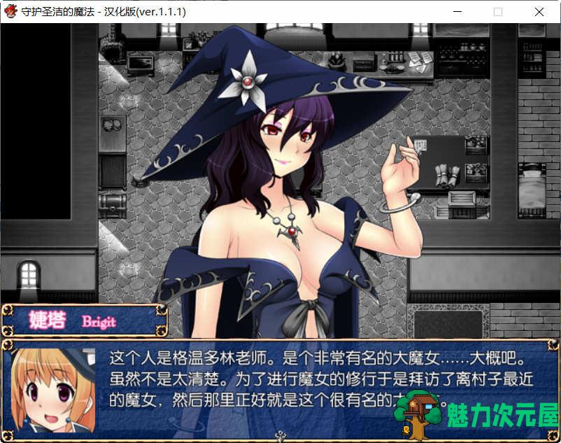 【汉化版/RPG】守护圣洁魔法 Ver.1.1.1 精翻汉化版 日式RPG游戏 800M