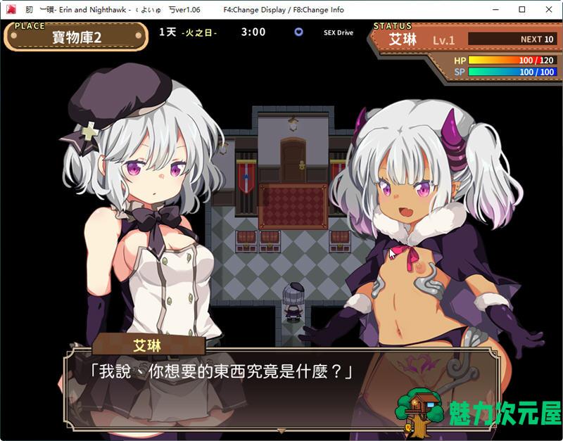 【汉化版/RPG】女骑士艾琳(Erin and Nighthawk) Ver1.06 精翻汉化版 RPG游戏 500M