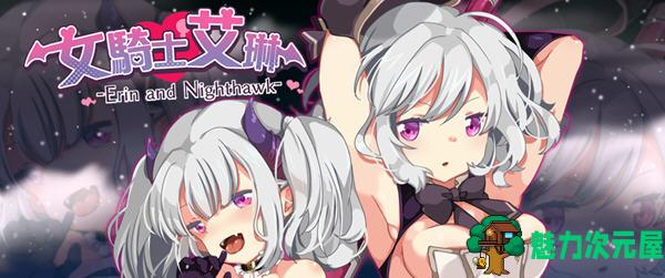 【汉化版/RPG】女骑士艾琳(Erin and Nighthawk) Ver1.06 精翻汉化版 RPG游戏 500M