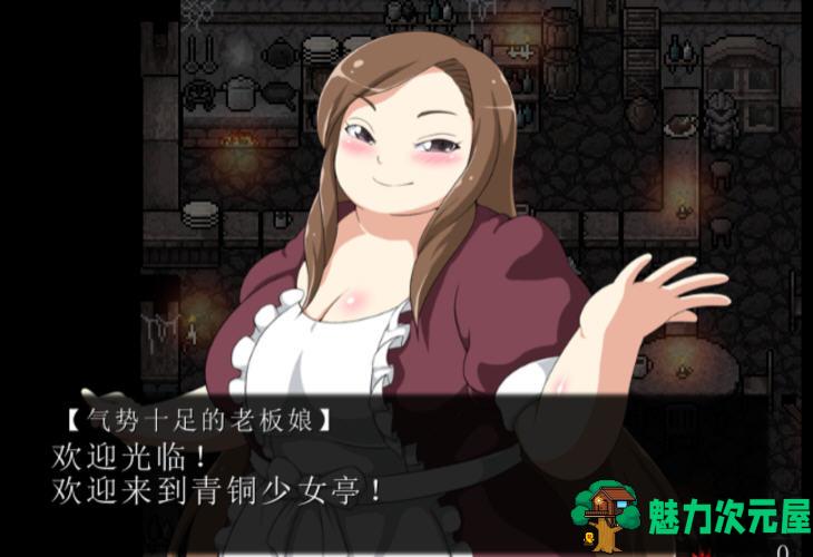【中文/CG/RPG】黑暗之心 Ver1.02 官方中文步兵版 黑魂同人RPG游戏+全CG 500M