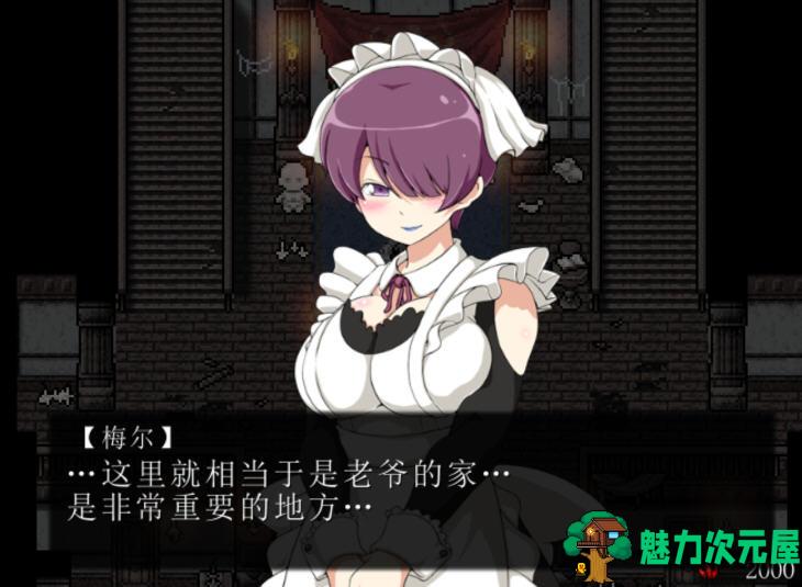 【中文/CG/RPG】黑暗之心 Ver1.02 官方中文步兵版 黑魂同人RPG游戏+全CG 500M