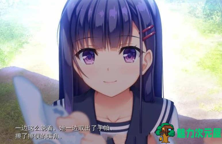 【汉化版/中文/2.4G/ADV/CG】纯真之夏 中文汉化版 大型ADV游戏 全CG存档+全CV 2.4G