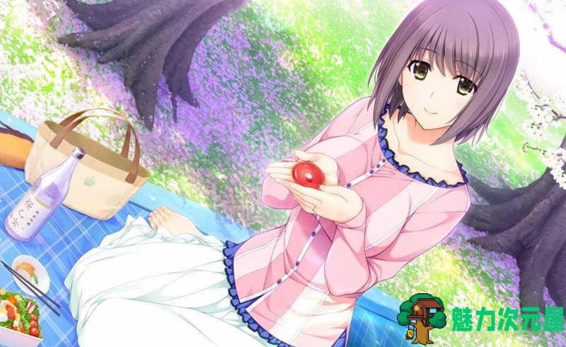 【汉化版/ADV/CG】新妻LOVELY×CATION 精翻汉化版+全CG存档 大型ADV游戏