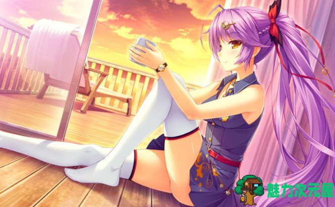 【中文/ADV】与我恋爱的废柴小恶魔 1+2 官方中文合集+DLC+补丁 ADV游戏