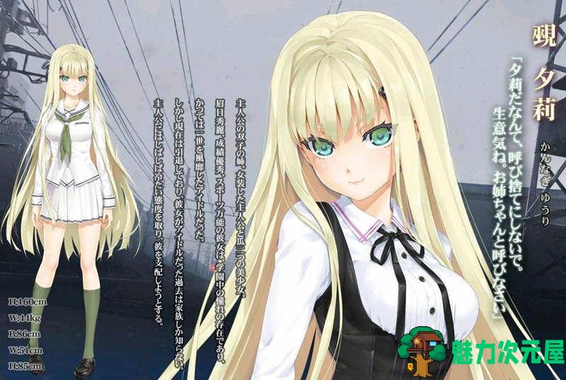 【安卓/PC/36G/ADV】美少女万华镜 1-5 官中全系列 PC+安卓端 神级ADV收藏 36G