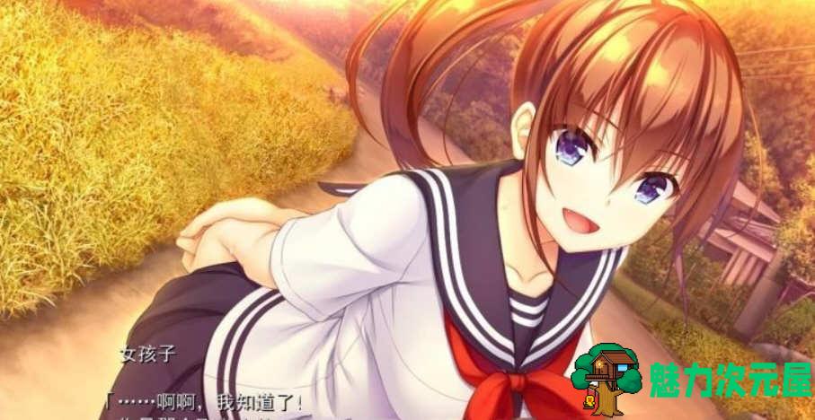【汉化版/中文/2.4G/ADV/CG】纯真之夏 中文汉化版 大型ADV游戏 全CG存档+全CV 2.4G