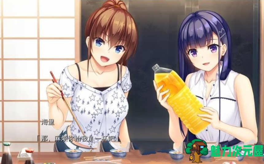 【汉化版/中文/2.4G/ADV/CG】纯真之夏 中文汉化版 大型ADV游戏 全CG存档+全CV 2.4G