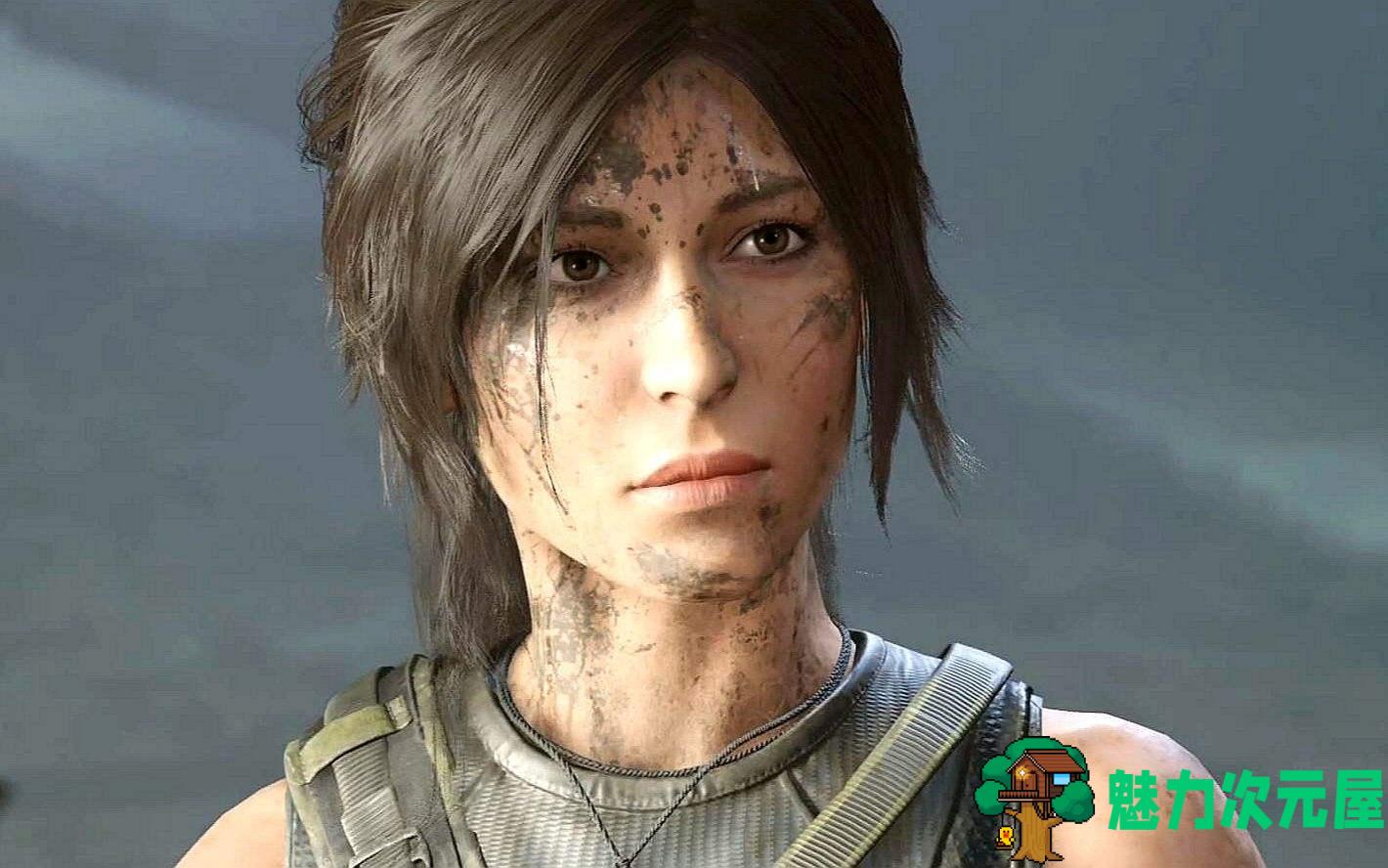 【中文】古墓丽影11：暗影 v1.0.292 克劳馥中文最终豪华版带所有DLC-魅力次元屋