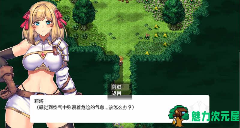 【2G/CG/RPG】冒险者与王家之血 精翻汉化完结版+CG 爆款RPG 2G