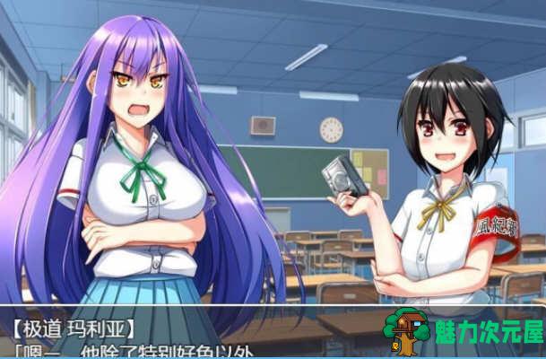 【安卓/PC/汉化版/RPG】和危险女孩的相处方式 V1.01 精翻汉化版 PC+安卓 RPG游戏