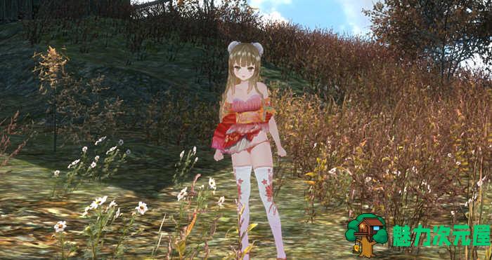【中文/3.8G/RPG】三国梦想：王元姫无惨 官方中文版 同人ARPG游戏 补 3.8G