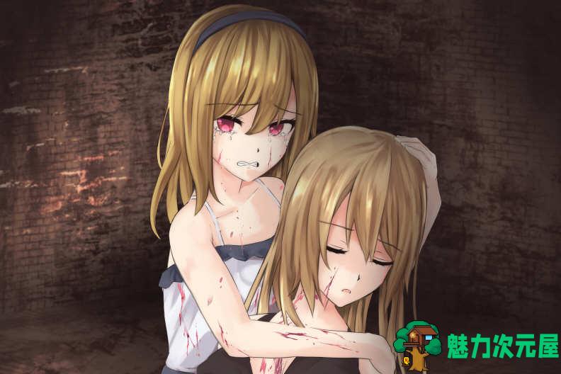 【中文/CG/RPG】噬欲之书：谎言和复仇的抒情诗 V1.01h 官方中文版+全CG存档  RPG游戏