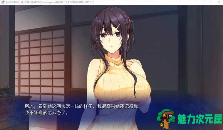 【安卓/PC/汉化版/ADV/CG】水莲と紫苑 V1.00 云汉化版 安卓+PC+CG包 ADV游戏