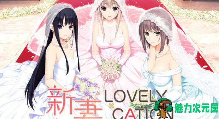 【汉化版/ADV/CG】新妻LOVELY×CATION 精翻汉化版+全CG存档 大型ADV游戏