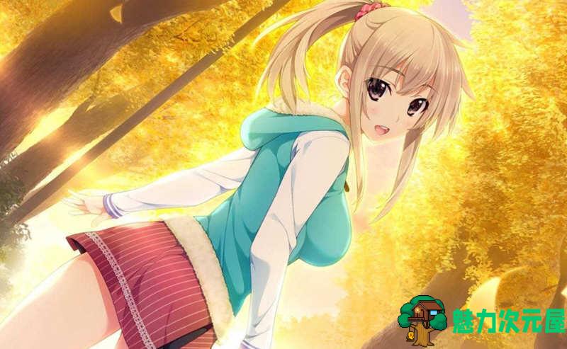 【汉化版/ADV/CG】新妻LOVELY×CATION 精翻汉化版+全CG存档 大型ADV游戏
