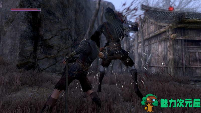 【中文】嗜血印 中文豪华版集成12DLCs 血宫+灭门之祸+宫廷刺绣睡袍 等