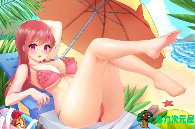 【中文】救妞大冒险（Save The Girl） 官方中文步兵版 休闲益智游戏