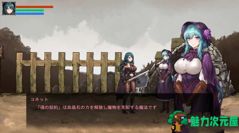 【CG】伊莉丝的誓约:大地的最深处 Ver1.05 付全CG存档 动态ACT大作