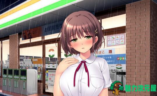 【80G】HAG终极合集 17部动画 大部分内容汉化（80GB）