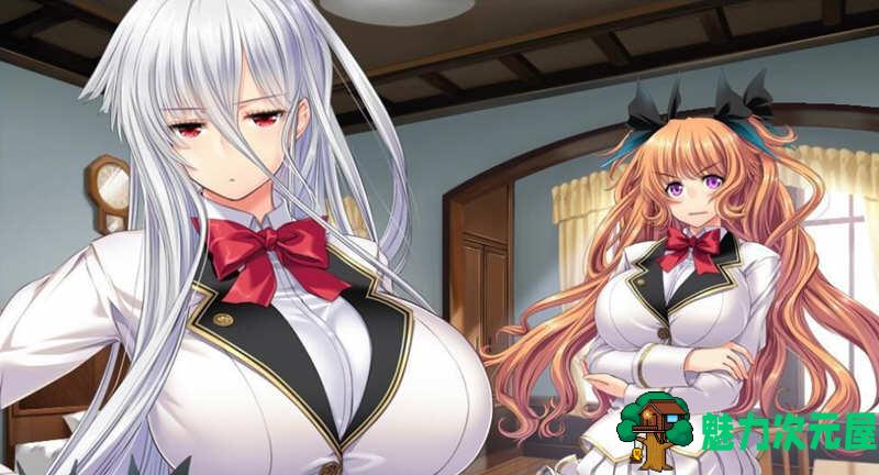 【汉化版/3G】圣布伦希尔特学园少女骑士团 精翻汉化版+动画 3G