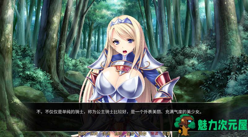 【中文/ADV/CG】异世界：银乱后宫物语 官方中文版 拔作ADV+全CG存档+全CV