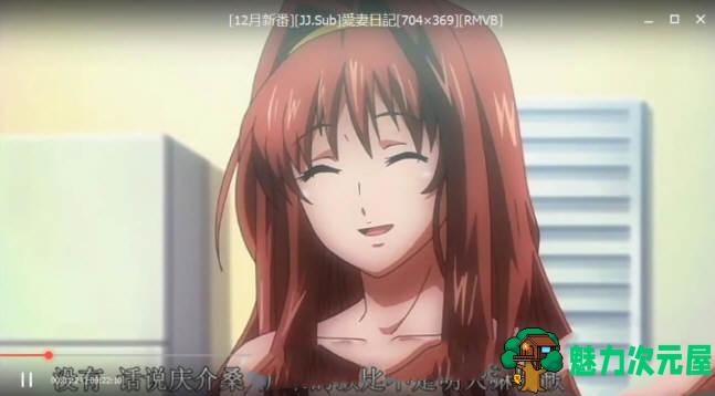【SLG/汉化版】爱妻日记：完美人妻与不举夫 精翻汉化版+动画 拔作SLG