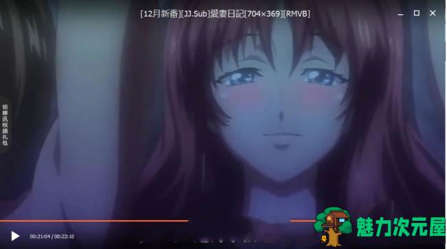【SLG/汉化版】爱妻日记：完美人妻与不举夫 精翻汉化版+动画 拔作SLG