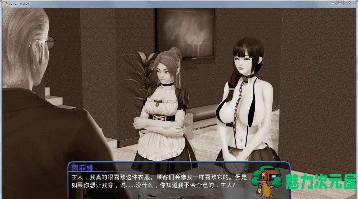 【安卓/PC/汉化版/中文/CG】后宫大酒店 Ver0.92 中文汉化版 PC+安卓+全CG