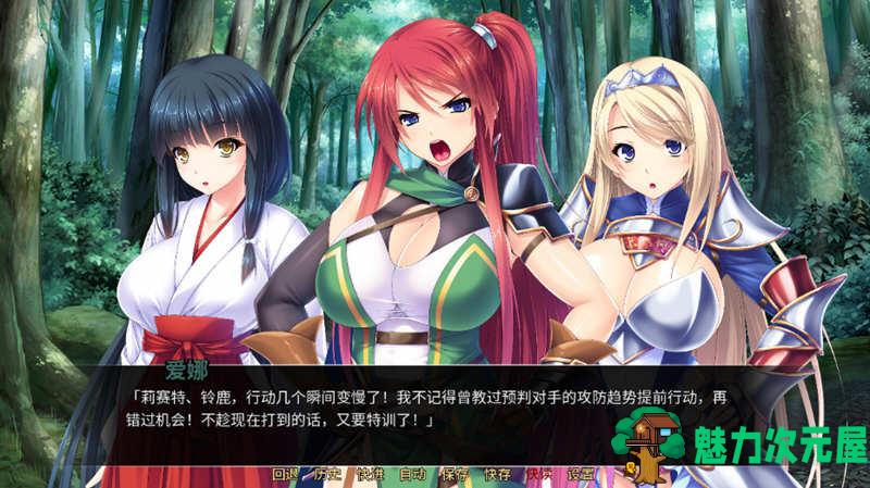 【中文/ADV/CG】异世界：银乱后宫物语 官方中文版 拔作ADV+全CG存档+全CV