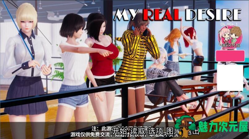 【安卓/PC/SLG/汉化版/中文/CG】真实情欲 精翻中文汉化版 欧美SLG PC+安卓+全CG
