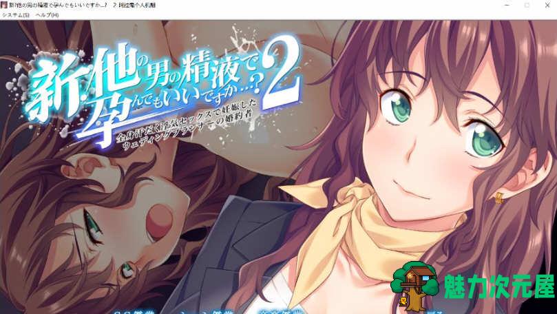 【汉化版/ADV】这样造宝宝真的合适嘛？ 1-3部 云翻汉化版 绿帽ADV游戏