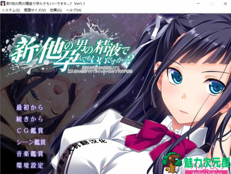 【汉化版/ADV】这样造宝宝真的合适嘛？ 1-3部 云翻汉化版 绿帽ADV游戏-魅力次元屋
