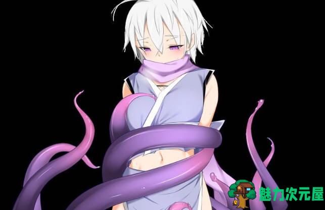 【汉化版/RPG】女忍者鸢尾 V1.10 李大仙完整精翻汉化版|付全开存档 ARPG游戏