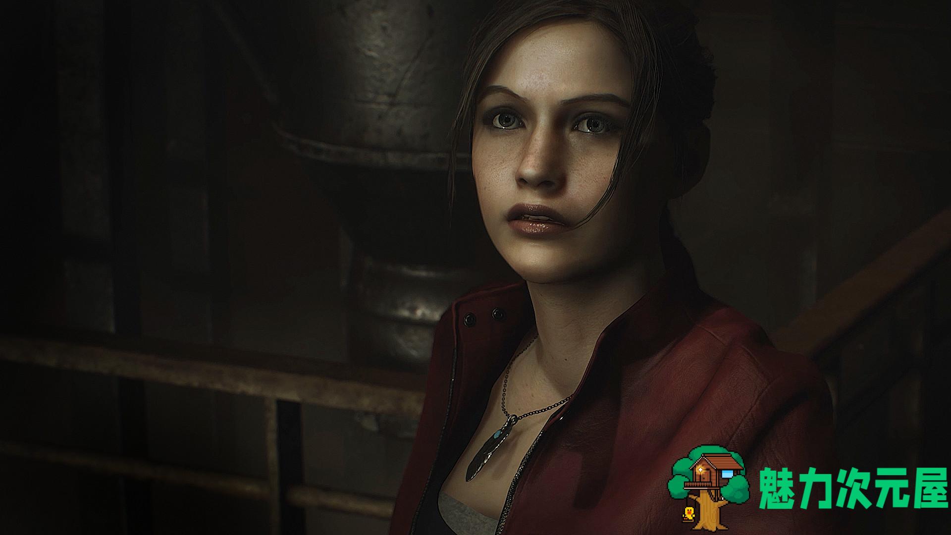 【中文/特别】生化危机2：重制版 中文特别版整合全DLC 艾达王MOD&BGM