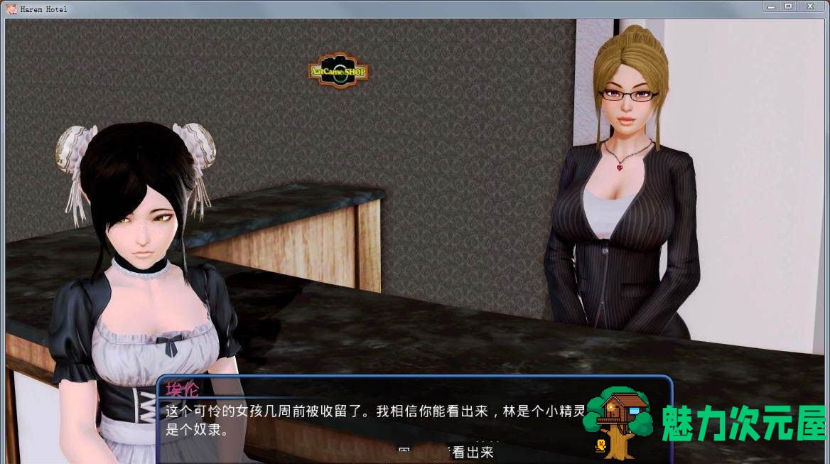 【安卓/PC/汉化版/中文/CG】后宫大酒店 Ver0.92 中文汉化版 PC+安卓+全CG-魅力次元屋
