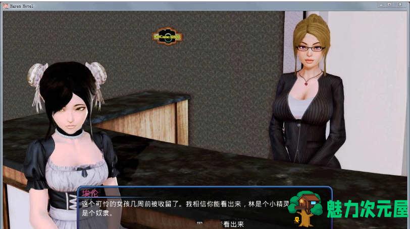 【SLG/5.2G/CG】后宫大酒店 Ver1.02 汉化作弊版 欧美SLG+攻略+全CG 5.2G