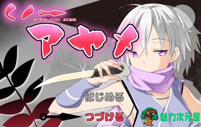 【汉化版/RPG】女忍者鸢尾 V1.10 李大仙完整精翻汉化版|付全开存档 ARPG游戏