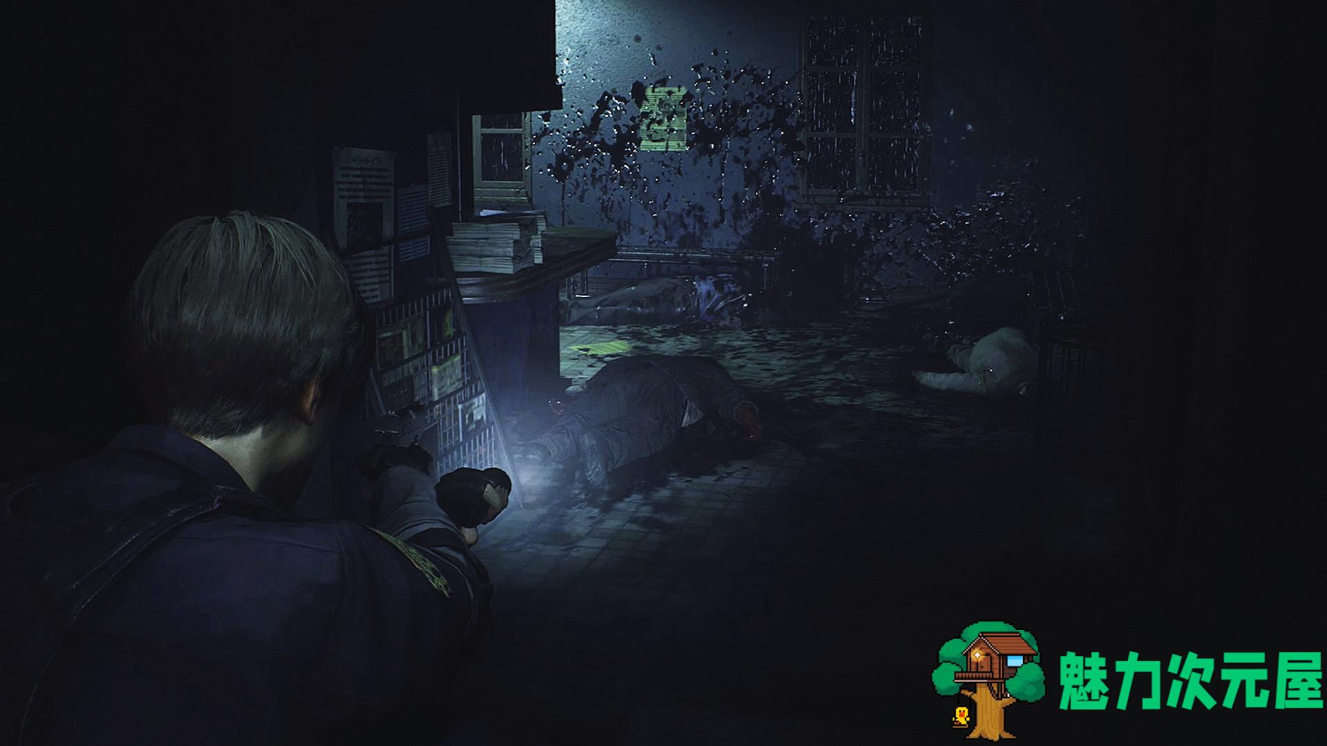 【中文/特别】生化危机2：重制版 中文特别版整合全DLC 艾达王MOD&BGM