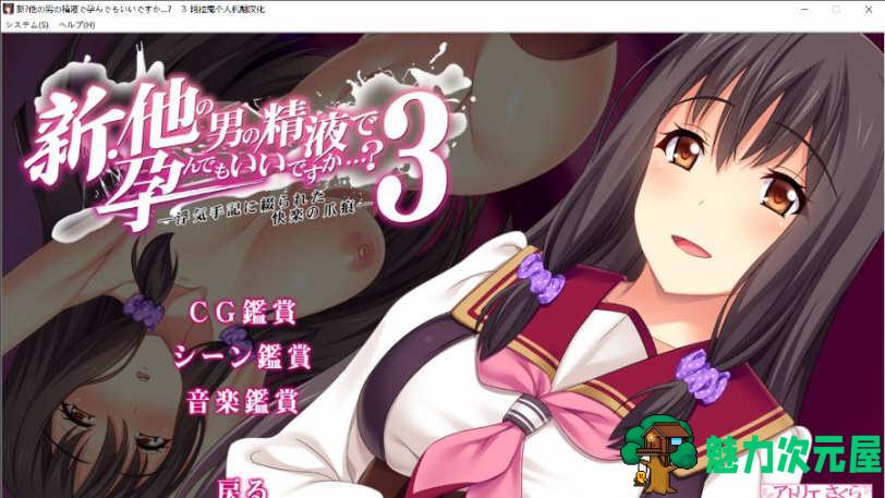【汉化版/ADV】这样造宝宝真的合适嘛？ 1-3部 云翻汉化版 绿帽ADV游戏
