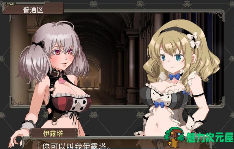 【中文/CG】夫海姆的猎人：阿瑟尔的烙印 官方中文版 动画+CG包+攻略