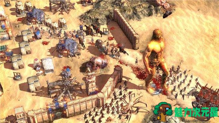 【中文/特别】不屈者柯南(Conan Unconquered) 官方中文特别版 RTS游戏-魅力次元屋