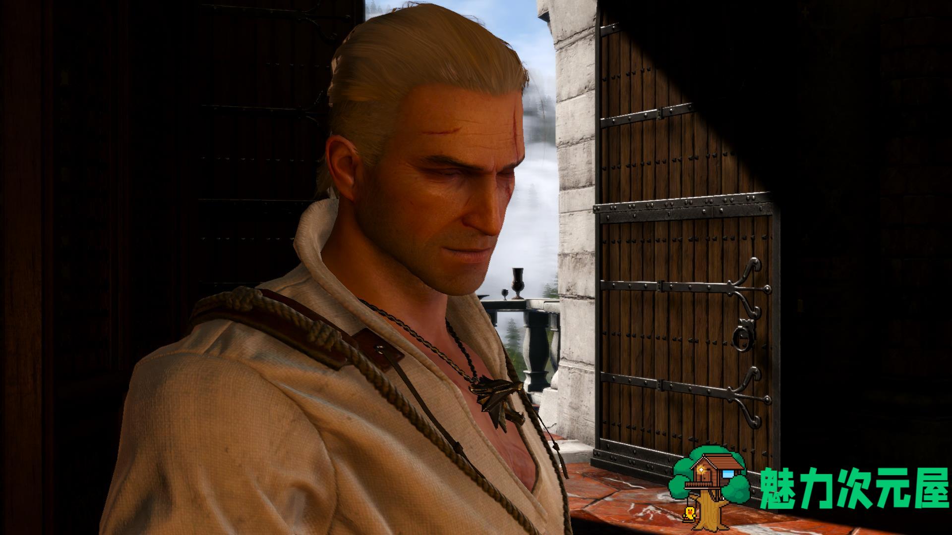 巫师3：狂猎（The Witcher 3: Wild Hunt）v1.31 官中 GOG年度版全DLC