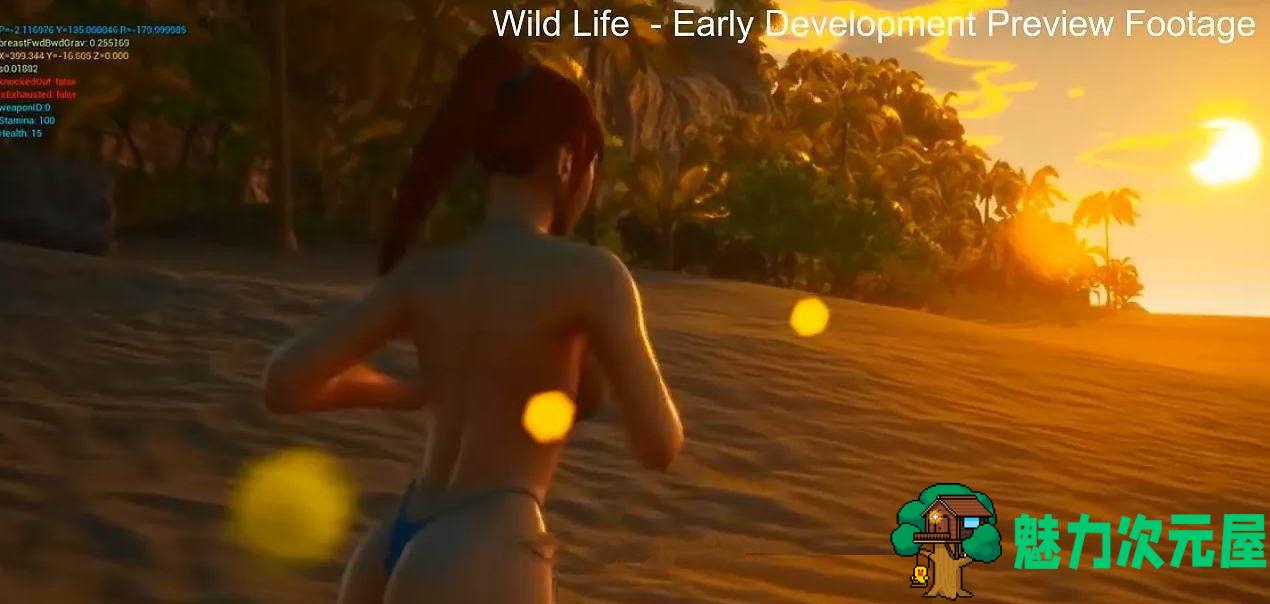 【RPG】野生(Wild LifeBuild) Ver2019.12.05 P25 美金版 欧美3D动作RPG