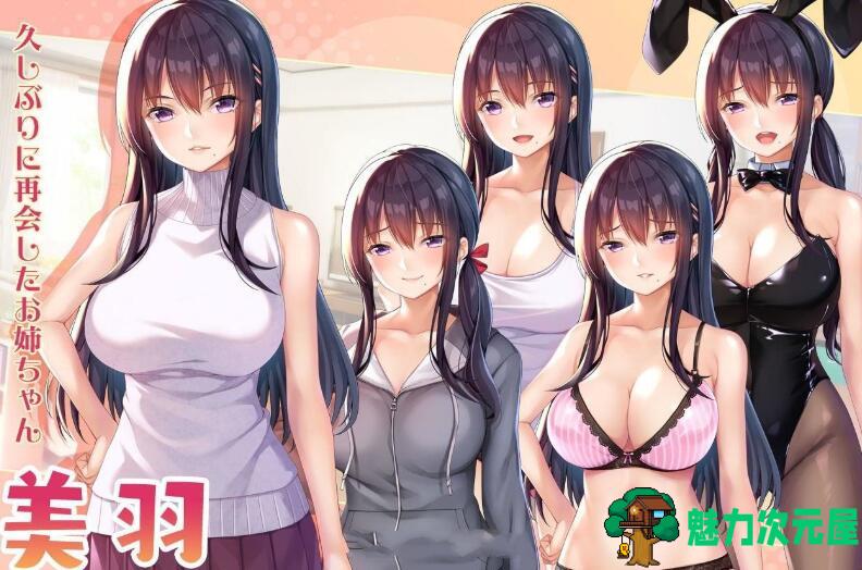 【安卓/PC/汉化版/CG】请停手吧姐姐大人!要断了!完整汉化版 PC+安卓+全CG