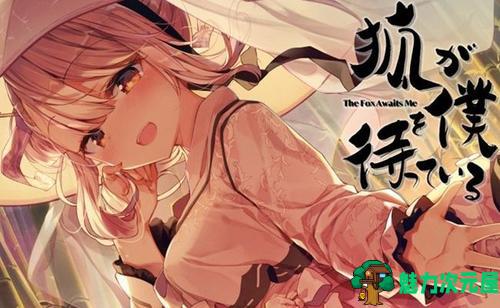 【安卓/精品/27G】安卓宅男向游戏三十部合集 三十款大作(27GB) 每款都是精品&推荐