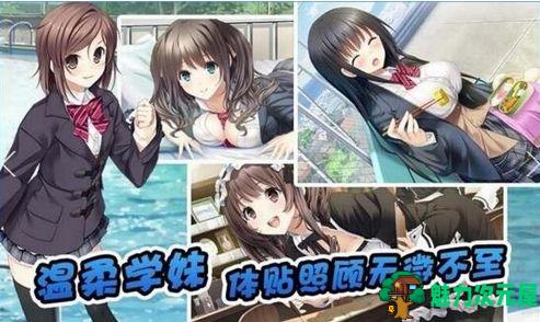 【安卓/精品/27G】安卓宅男向游戏三十部合集 三十款大作（27GB） 每款都是精品&推荐