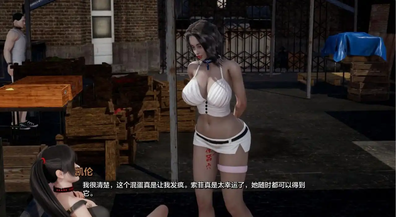 图片[2]-项目 Project S.P.E.S V0.6 PC+安卓AI汉化版-魅力次元屋