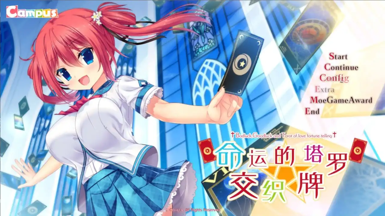 命运交织的塔罗牌  硬盘版-魅力次元屋